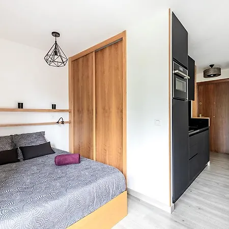 Avec Balcon, Proche De Paris Equipe Apartament